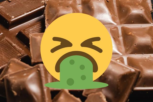 Polêmica: tem barata no chocolate?! Desvendamos essa história nojenta para vocês!