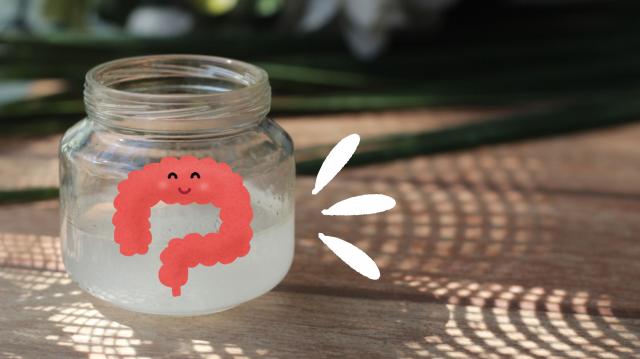 Esses dois tão na moda e são aliados: como o óleo de coco ajuda o intestino; entenda benefícios