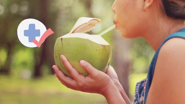 É por isso que você deve beber água de coco no verão: descubra os benefícios e a melhor opção para incluir na rotina