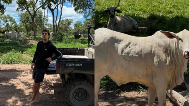 A propriedade de Luan é dedicada à criação de gado de corte (Créditos: Reprodução / Instagram @@luansantana)