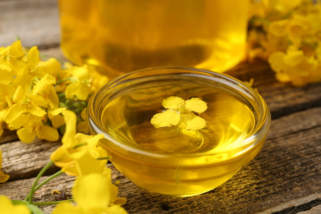 Adeus azeite de oliva: conheça o óleo vegetal saudável e barato que vai virar o seu queridinho da cozinha