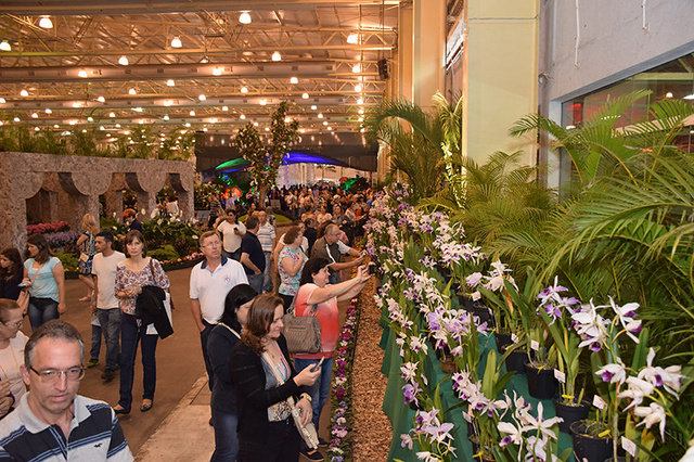 Visitantes podem observar a exposição e comprar itens. (Foto: divulgação)