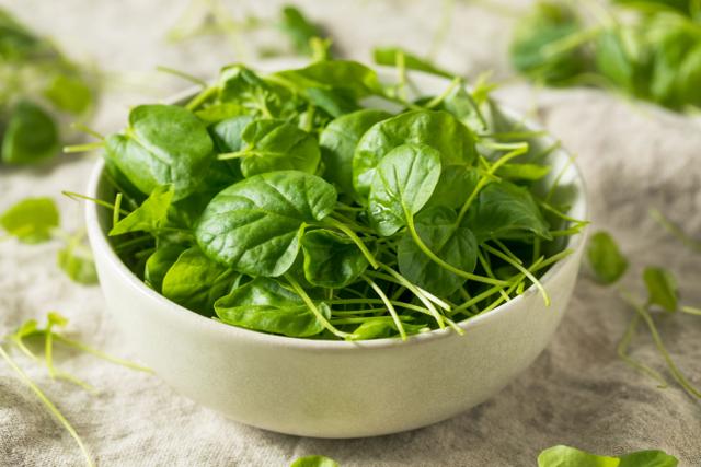 Agrião é o alimento mais saudável de todos, segundo novo estudo. Descubra benefícios do vegetal e veja dicas de receitas!