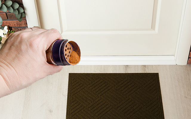 Assopre um punhado de canela perto da porta de casa e atraia boas energias, abundância, sorte e prosperidade