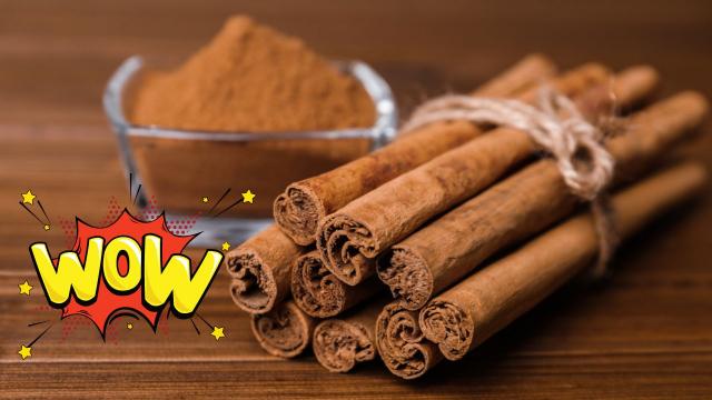 O que a canela pode (e não pode) fazer pelo seu corpo: benefícios, efeitos colaterais, como usar e muito mais!