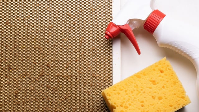 Para evitar gordura incrustada no exaustor, faça limpezas periódicas no aparelho (Créditos: Shutterstock)