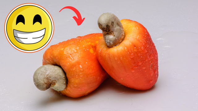 Esse benefício secreto do caju (que poucos sabem!) é muito bom pra saúde
