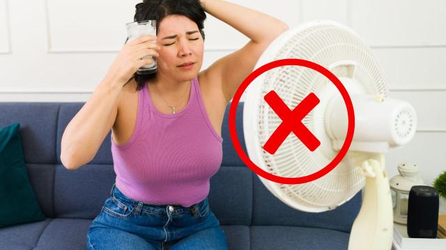 Poucos sabem, mas é por isso que a OMS diz para não usar ventilador quando está muito quente