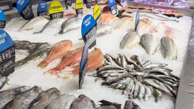 Dois tipos de peixe, ricos em ômega-3, como o salmão, repletos de benefícios a um preço acessível