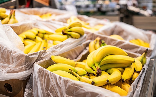 O guia definitivo da banana: benefícios, qual tipo serve melhor para cada receita e usos criativos nas plantas e na limpeza