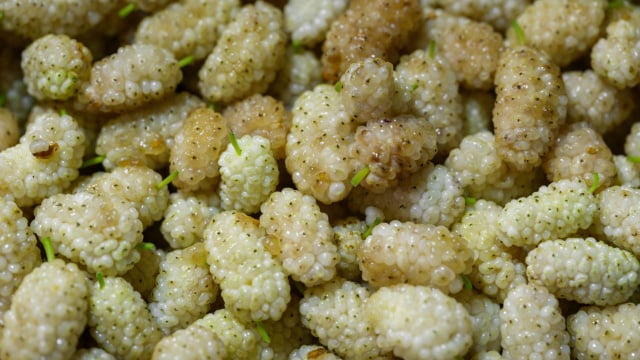 Os frutos desta amoreira são bem branquinhos e muito doces, além de nutritivos (Créditos: Engin Akyurt/Pexels)