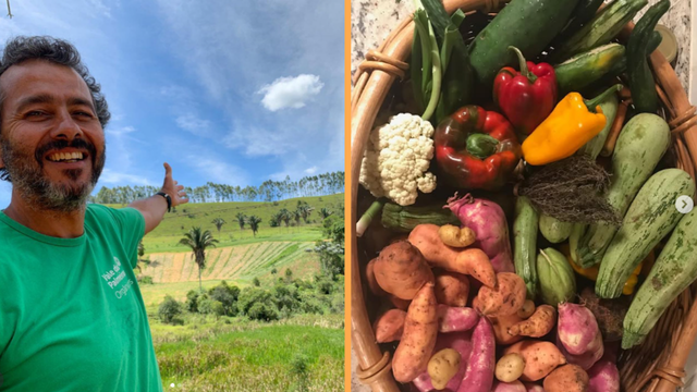 Fazenda de Marcos Palmeira em Teresópolis transforma antiga pastagem em modelo de agrofloresta e aposta na produção sustentável sem agrotóxicos, com queijos, laticínios e cafés orgânicos comercializados no Rio de Janeiro