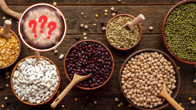 Que feijão é esse? O tipo de feijão que suga açúcar no sangue, reduz colesterol e é muito nutritivo! Saiba benefícios e como consumir