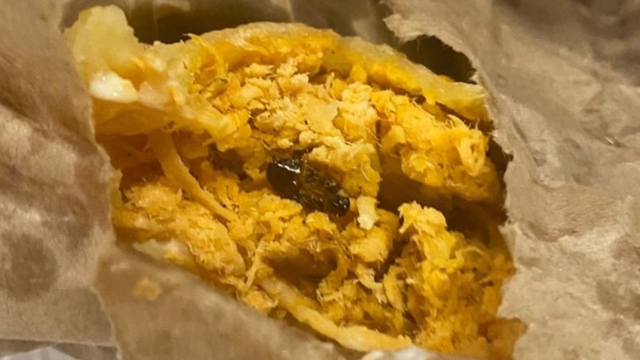 Barata viva no recheio do pastel: lanchonete é interditada após cliente encontrar inseto no lanche