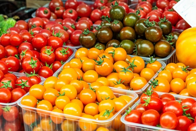 Mistério nas ilhas Galápagos: tomates estão passando por uma espécie de "evolução reversa"