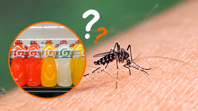 Quem está com dengue pode tomar Gatorade? Saiba o que não comer quando está com sintomas