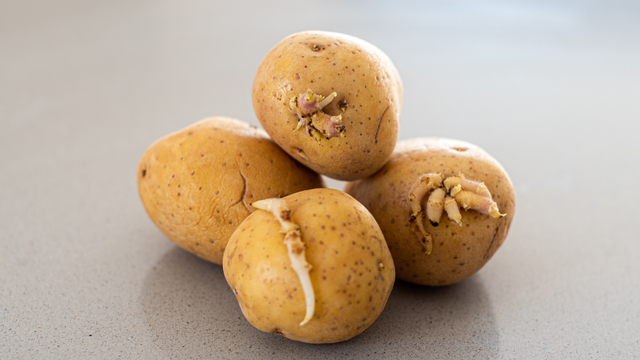 Você provavelmente está guardando batatas no lugar errado, mas o TudoGostoso pode te ajudar: chefs recomendam alho por perto e cebola bem longe