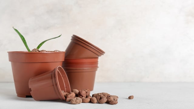 Não jogue fora vasos de plástico velhos, eles ainda serão muito úteis para você no jardim: veja como utilizá-los