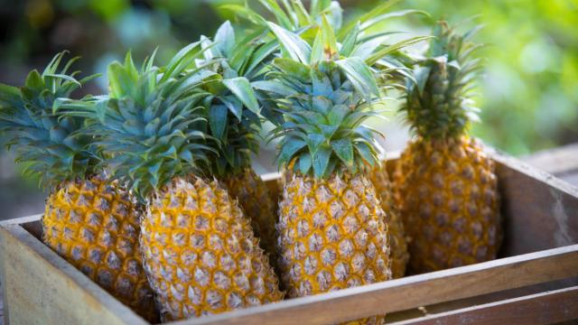 Agora eu só compro abacaxi docinho depois que aprendi essas dicas que ajudam na hora de escolher a fruta