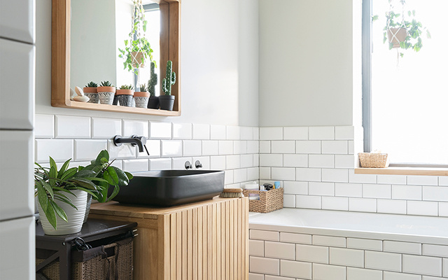 3 plantas para ter no banheiro se você tem alergias ou problemas respiratórios