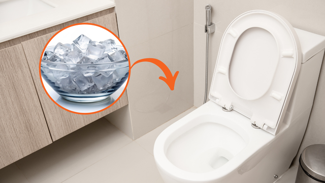 Truque do gelo no vaso sanitário funciona mesmo? Veja porque essa técnica ficou popular e como fazer em casa