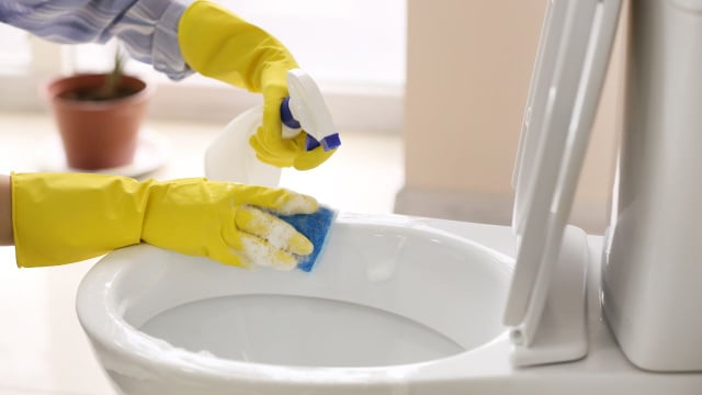 Experimentei jogar vinagre no vaso sanitário e, 10 minutos depois, toda a família elogiou a ideia!