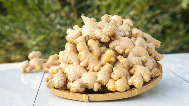 Marta León, engenheira química: "O gengibre nos ajuda a controlar o aumento do açúcar no sangue após as refeições."