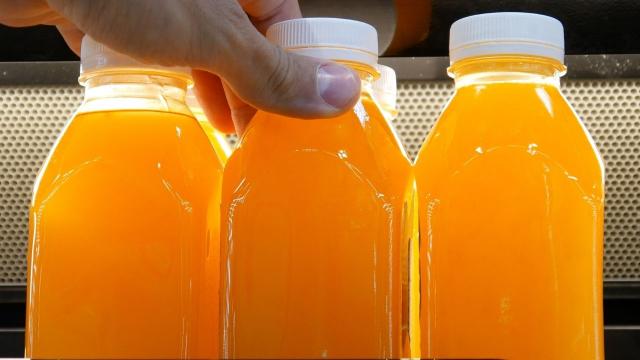 É verdade que o suco de laranja vai sumir dos mercados? TudoGostoso explica o que está acontecendo com a fruta