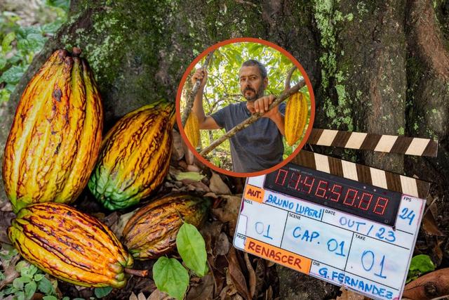 Cacau no horário nobre: 5 benefícios POUCO conhecidos do fruto que vai bombar na nova novela da TV Globo