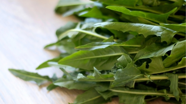 Essa hortaliça é amarga, mas os benefícios são doces para a saúde: limpa o organismo, ajuda na digestão e rica em fibras