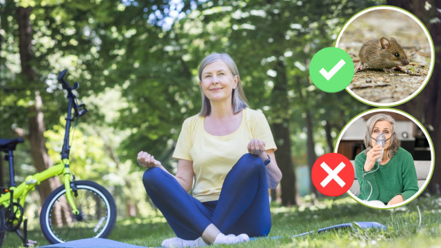 O elixir da vida (por enquanto apenas para camundongos): droga testada que prolonga a vida dos animais em 25%