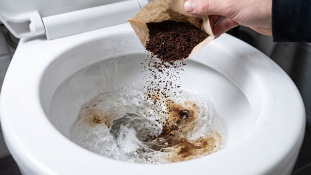 Parece inusitado, mas o hábito de descartar borra de café no vaso sanitário pode resolver um grande problema sem usar produtos químicos