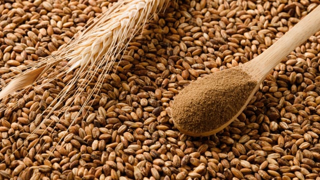 Existem muitos atrativos e benefícios que fizeram essa bebida se tornar popular por todo o mundo (Créditos: Shutterstock)