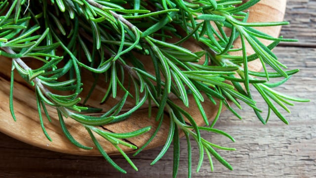 Alecrim: conheça os benefícios da erva aromática (Créditos: Canva)