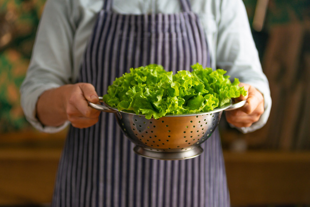 Dica para conservar a alface por até 3 semanas: precisa apenas de um copo com água