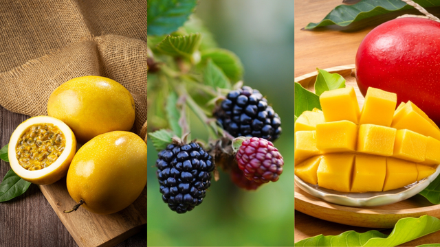 Manga, maracujá e amora: as 9 receitas mais deliciosas para aproveitar sobremesas com o melhor da estação