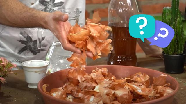 Por que as pessoas estão colocando casca de cebola nas plantas e para que serve o truque?
