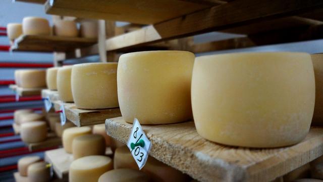 Crianças podem comer queijo de leite cru? TudoGostoso responde