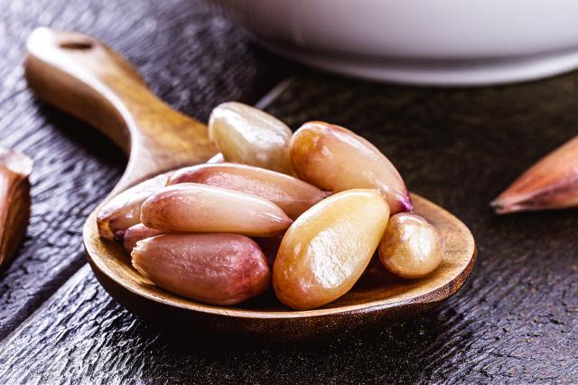 Aliado dos diabéticos e obesos: como o pinhão suga o açúcar do sangue e outros benefícios da castanha