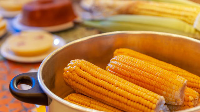 Pare de cozinhar milho apenas com água! O segredo para ficar gostoso e macio igual ao da feira está no que todo mundo joga fora