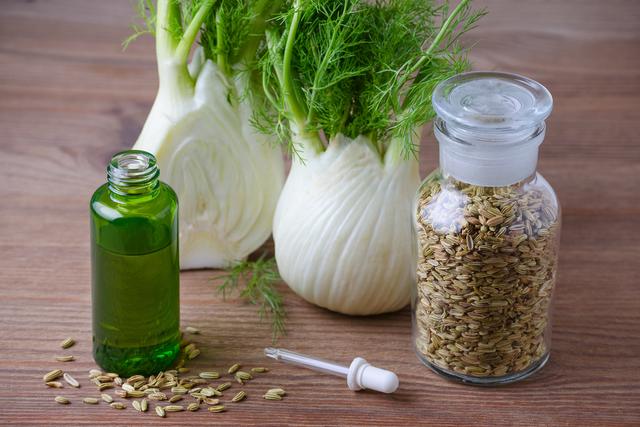 Funcho e erva-doce é a mesma coisa? Saiba tudo sobre essa planta medicinal