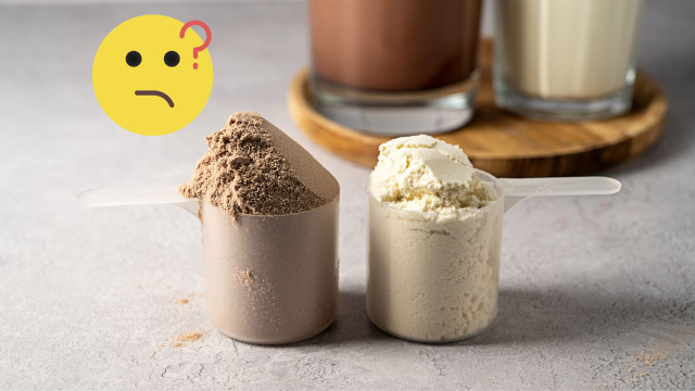 Whey protein concentrado ou isolado: quais as diferenças e qual a melhor opção?