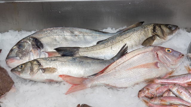 Peixe muito consumido no Brasil entra na lista de espécies ameaçadas e pode ter a venda proibida, segundo Ministério do Meio Ambiente e Mudanças Climáticas