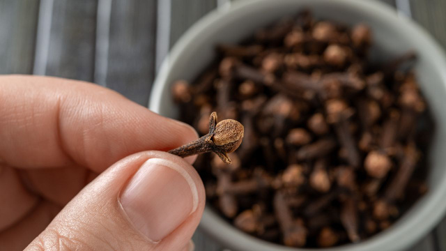 Esses são os motivos para você mastigar cravos-da-Índia diariamente, os benefícios são maiores do que você imagina!