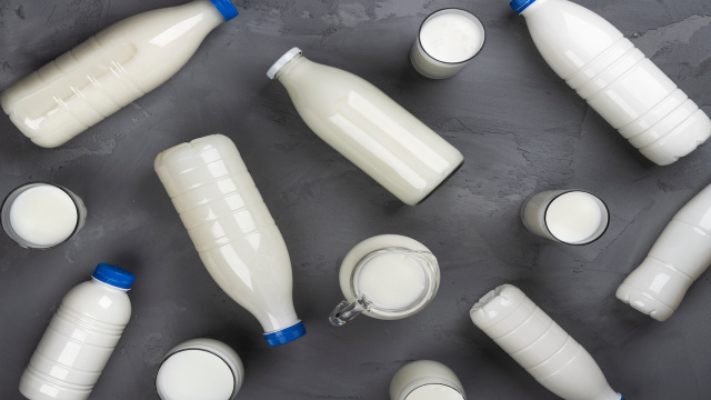 Leite de vaca, cabra ou búfala? Entenda qual é mais leve, mais proteico e o melhor pra você