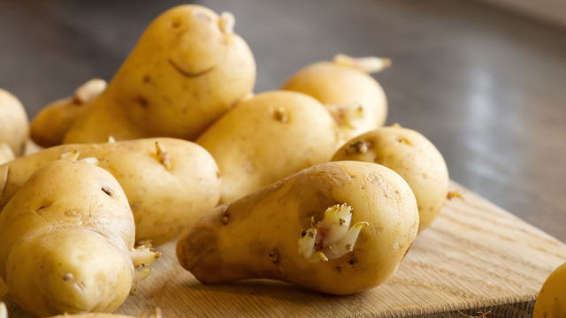 Nunca jogue fora batatas germinadas: aqui está o que você deve fazer