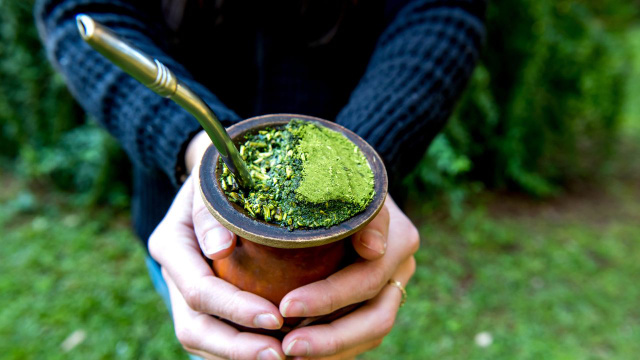 Adeus ao cansaço: a erva que potencializa o mate e melhora a concentração