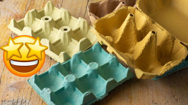 Veja tudo o que você pode fazer com a caixa de ovo de papelão: ideias originais e úteis