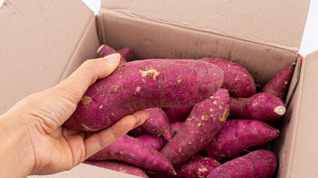 O que acontece com o corpo se você comer batata-doce todos os dias? Essa nutricionista explica os benefícios