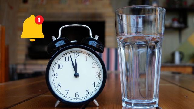 Esses são os 7 melhores horários para beber água: os benefícios para o peso, humor e mente com a hidratação na hora certa